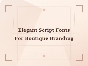 Sophisticated Boutique Branding with Elegant Script Fonts
